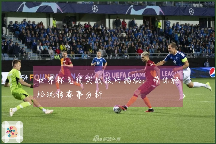 世界杯竞猜实战技巧揭秘，带你轻松玩转赛事分析