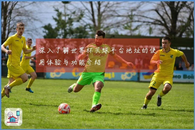 深入了解世界杯买球平台地址的使用体验与功能介绍