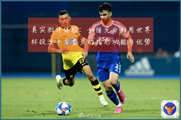 真实测评体验：如何充分利用世界杯投注平台首页的精彩功能与优势