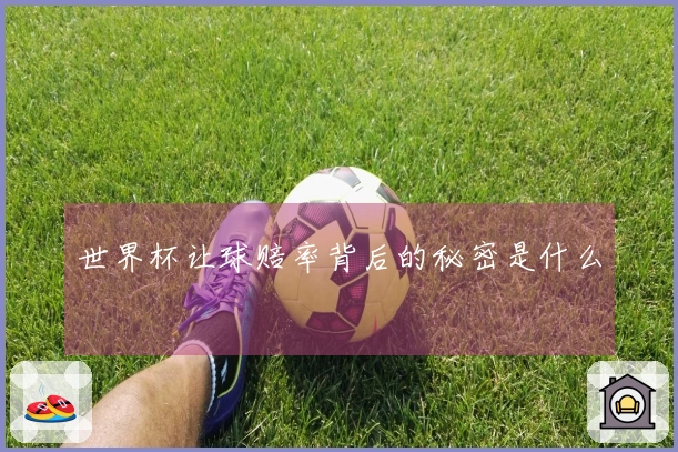 世界杯让球赔率背后的秘密是什么