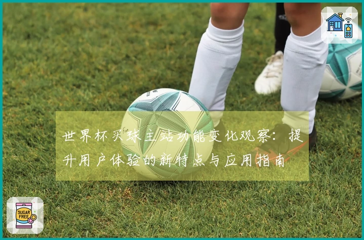 世界杯买球主站功能变化观察：提升用户体验的新特点与应用指南