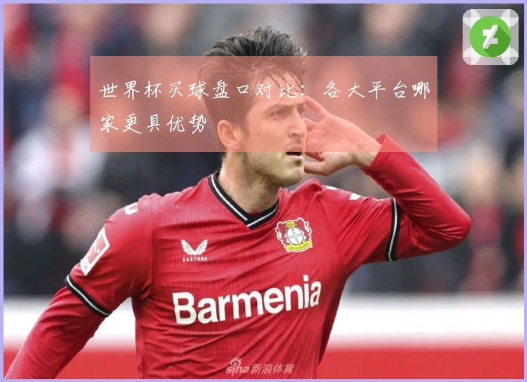 世界杯买球盘口对比：各大平台哪家更具优势