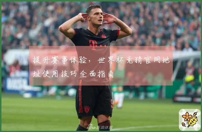 提升赛事体验，世界杯竞猜官网地址使用技巧全面指南