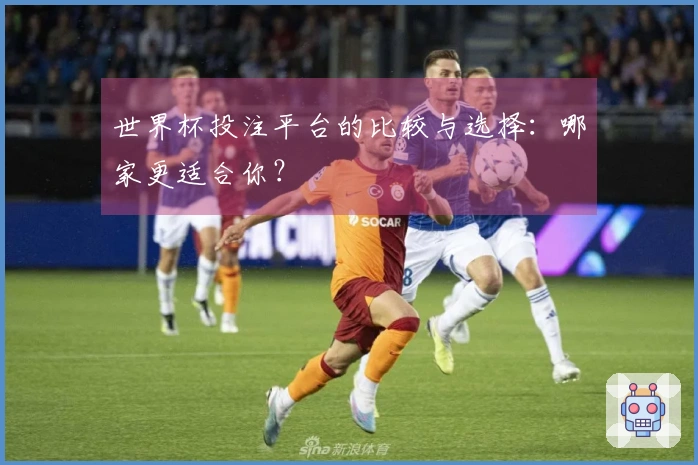 世界杯投注平台的比较与选择：哪家更适合你？