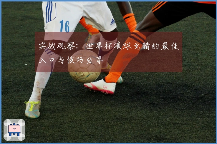 实战观察：世界杯滚球竞猜的最佳入口与技巧分享