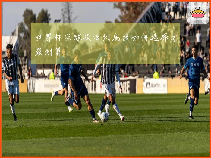 世界杯买球投注到底该如何选择才最划算