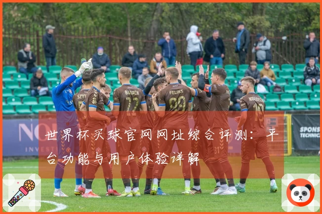 世界杯买球官网网址综合评测:平台功能与用户体验详解